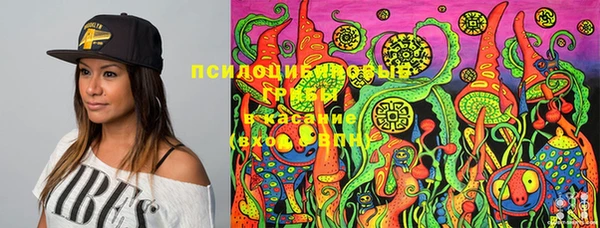 индика Богородицк