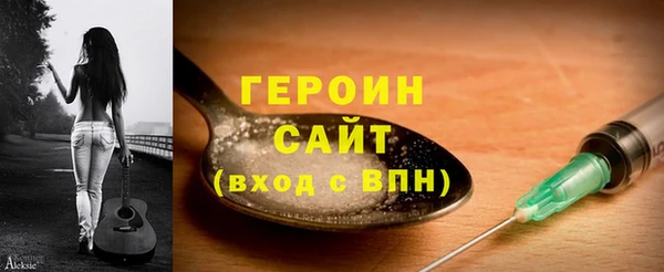 индика Богородицк