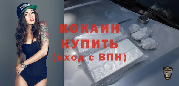 индика Богородицк