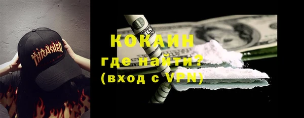 индика Богородицк