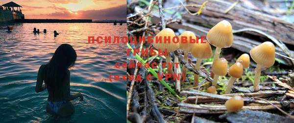 трава Богородск