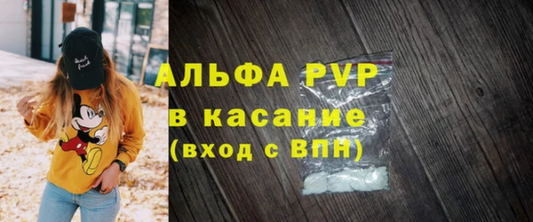 индика Богородицк