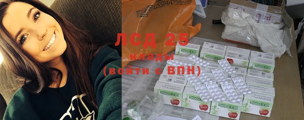 индика Богородицк